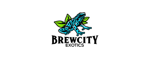 BrewCity Exotics